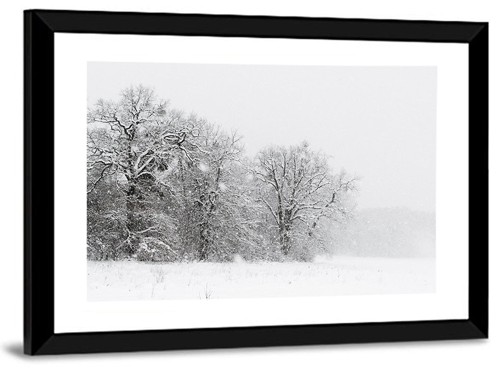 Snow-covered Trees in Fog Wall Art