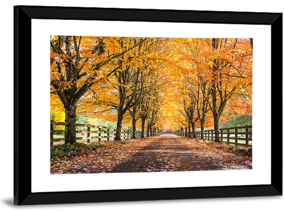 Maple Lane in Autumn Wall Art