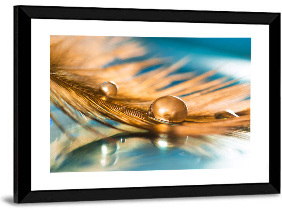 Golden Feather with Droplets Wall Art