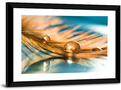Golden Feather with Droplets Wall Art