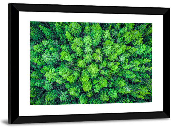 Whakarewarewa Forest Canopy Wall Art as a framed print