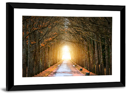 Autumn Oak Tunnel Wall Art