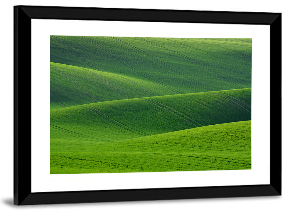 Rolling Emerald Wheat Fields Wall Art