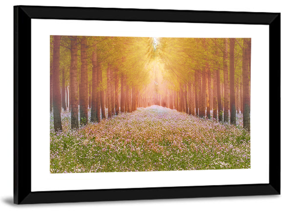 Golden Morning Forest Path Wall Art