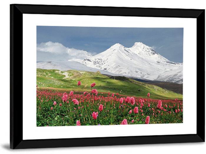 Caucasus Spring Wildflower Meadow Wall Art as a framed print