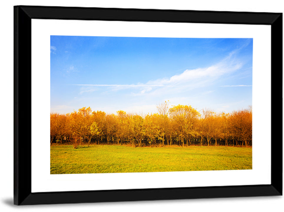 Autumn Forest Meadow Wall Art