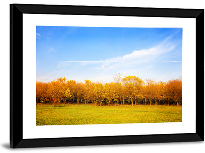 Autumn Forest Meadow Wall Art