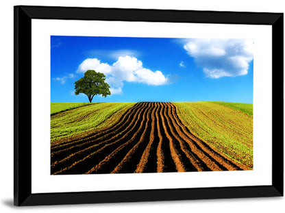 Plowed Field with Lone Tree Wall Art