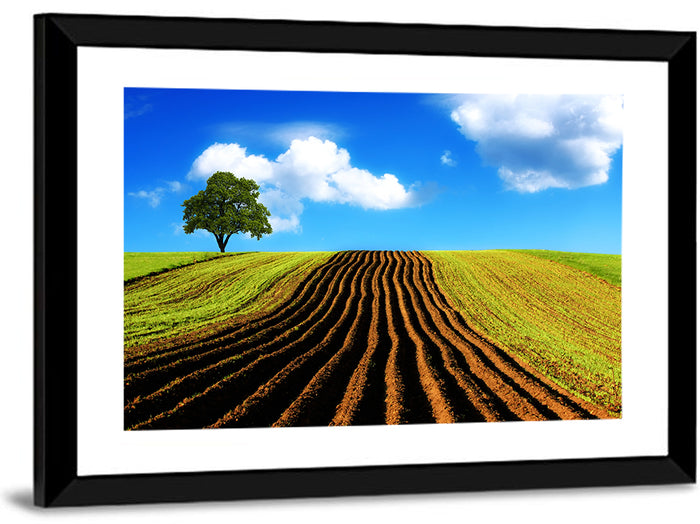 Plowed Field with Lone Tree Wall Art as a framed print
