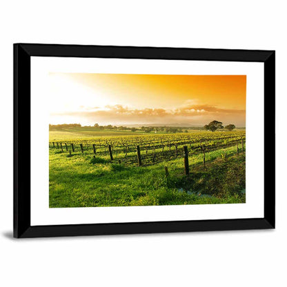 Barossa Valley Vineyard at Sunrise Wall Art