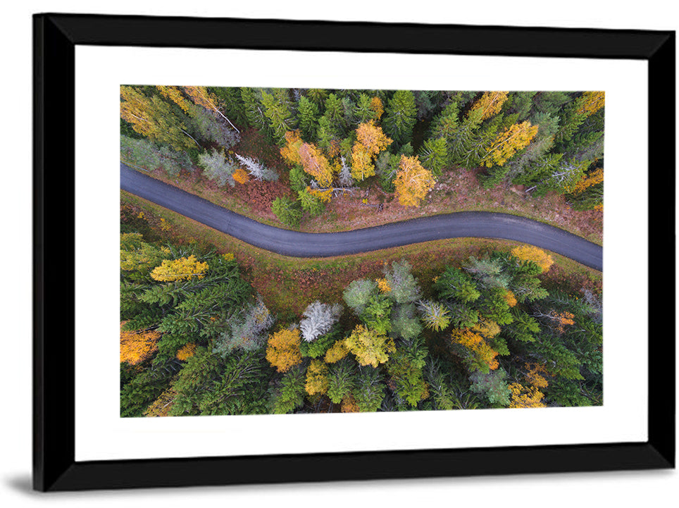 Aerial Autumn Forest Road Wall Art