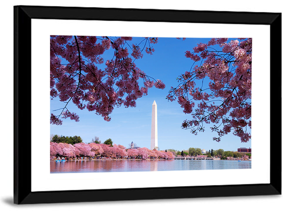 Washington Monument with Cherry Blossoms Wall Art