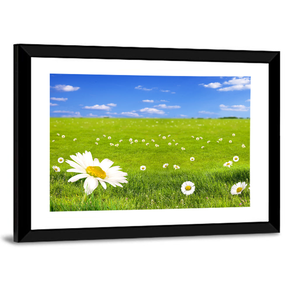 Spring Daisy Meadow Wall Art