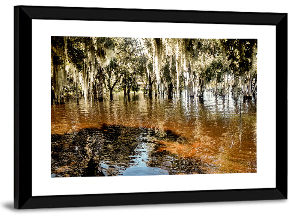 Spanish Moss Swamp at Lake Jesup Wall Art