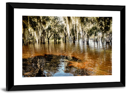 Spanish Moss Swamp at Lake Jesup Wall Art