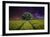 Alone Tree in Field Wall Art