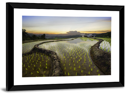 Pa Pong Peang Rice Terrace Wall Art