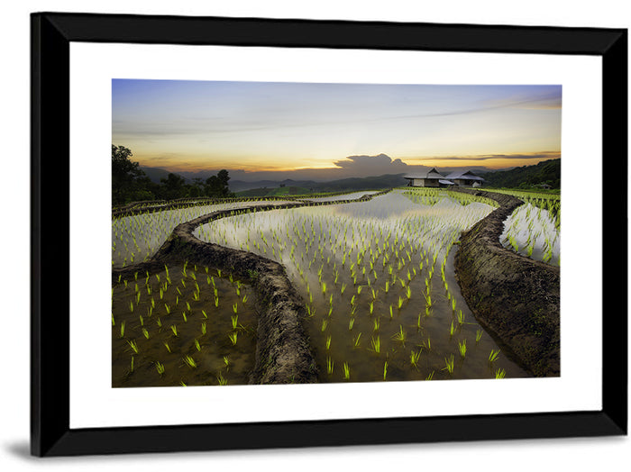 Pa Pong Peang Rice Terrace Wall Art as a framed print