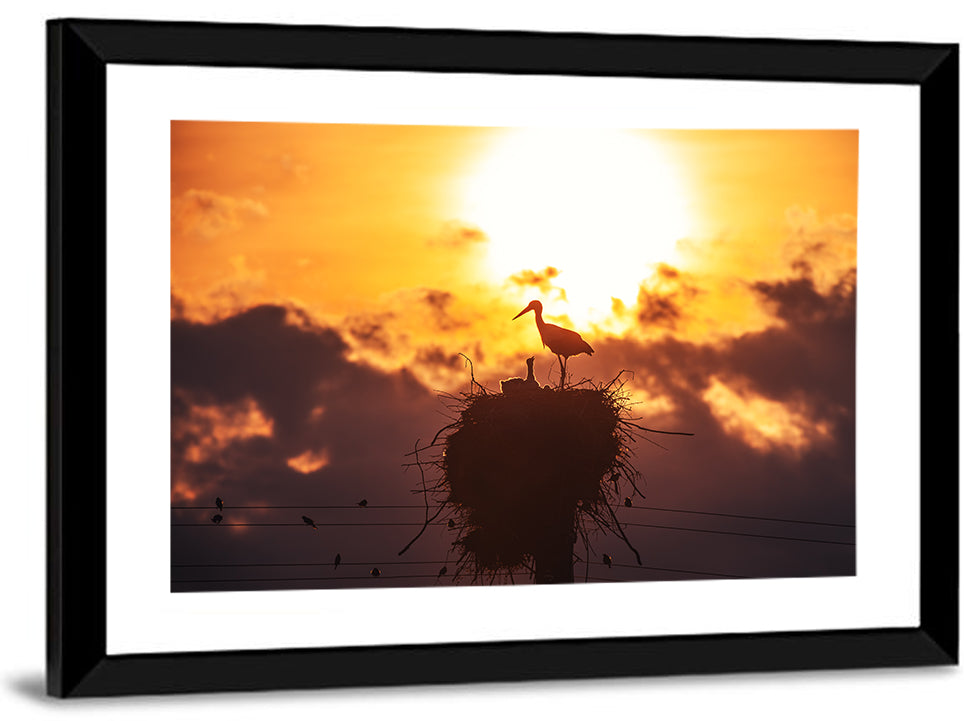Stork Nest at Sunset Wall Art