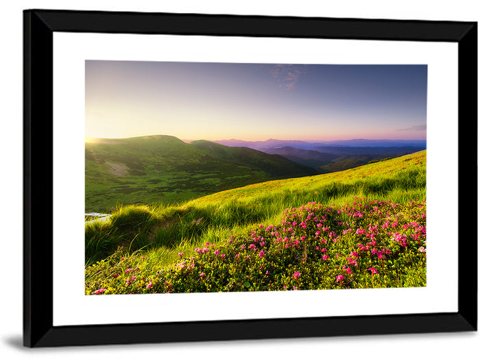 Alpine Meadow Sunrise Wall Art as a framed print