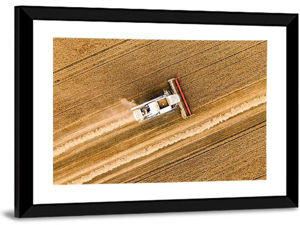 Aerial Combine Over Wheat Field Wall Art