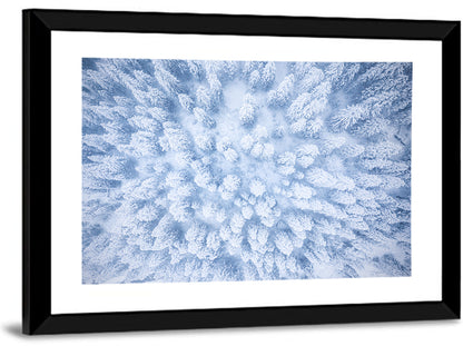 Snow-dusted Evergreen Canopy Wall Art