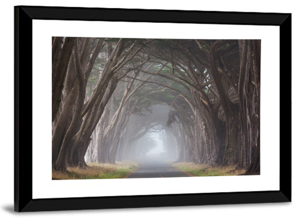 Cypress Tree Tunnel in Fog Wall Art