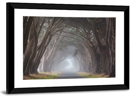 Cypress Tree Tunnel in Fog Wall Art