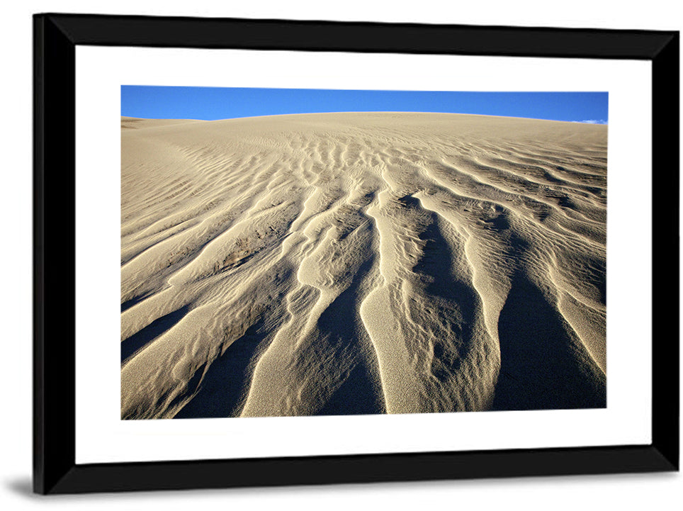 Endless Rippled Sand Dunes Wall Art
