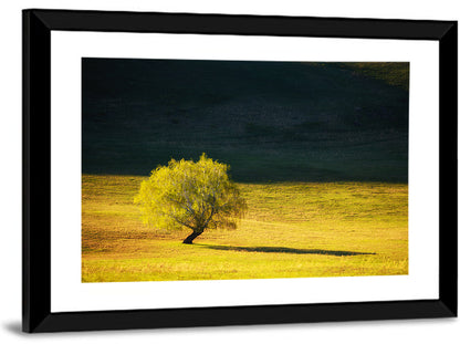 Lone Tree in Golden Meadow Wall Art
