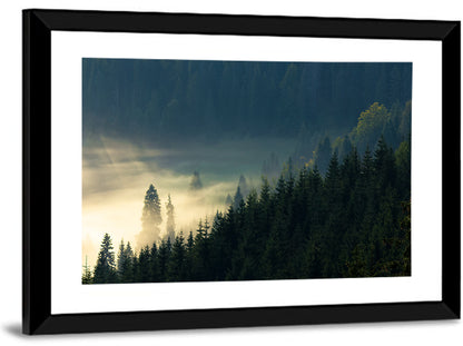 Conifer Valley Morning Mist Wall Art