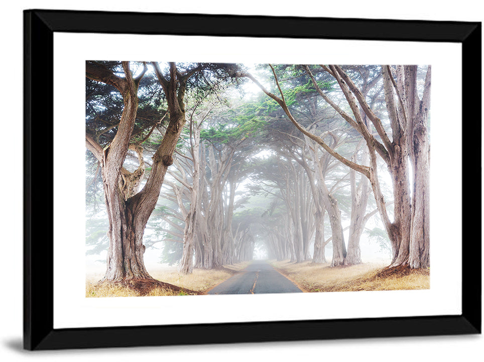 Misty Morning Alleyway Wall Art