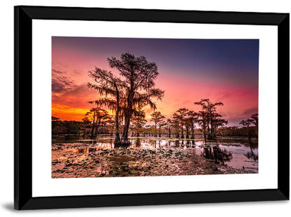Caddo Lake Cypress Sunset Wall Art