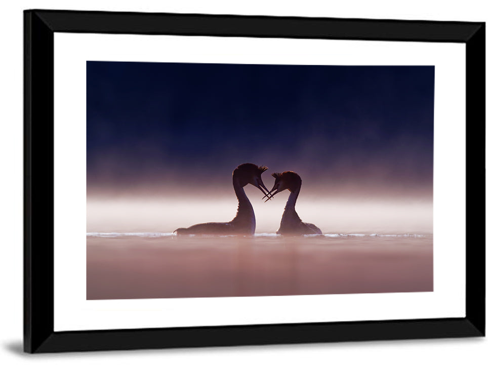 Crested Grebes in Morning Mist Wall Art