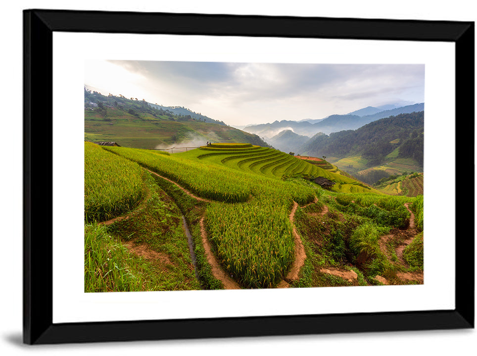 Terraced Rice Paddies Wall Art