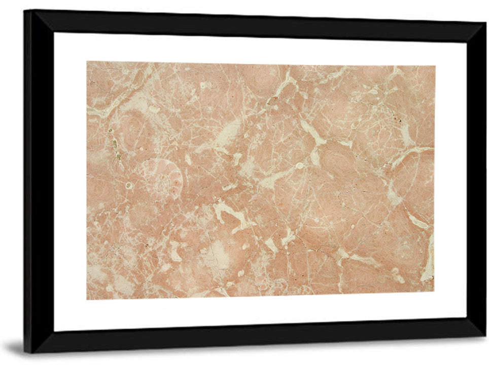 Fossil Veins Marble Study Wall Art