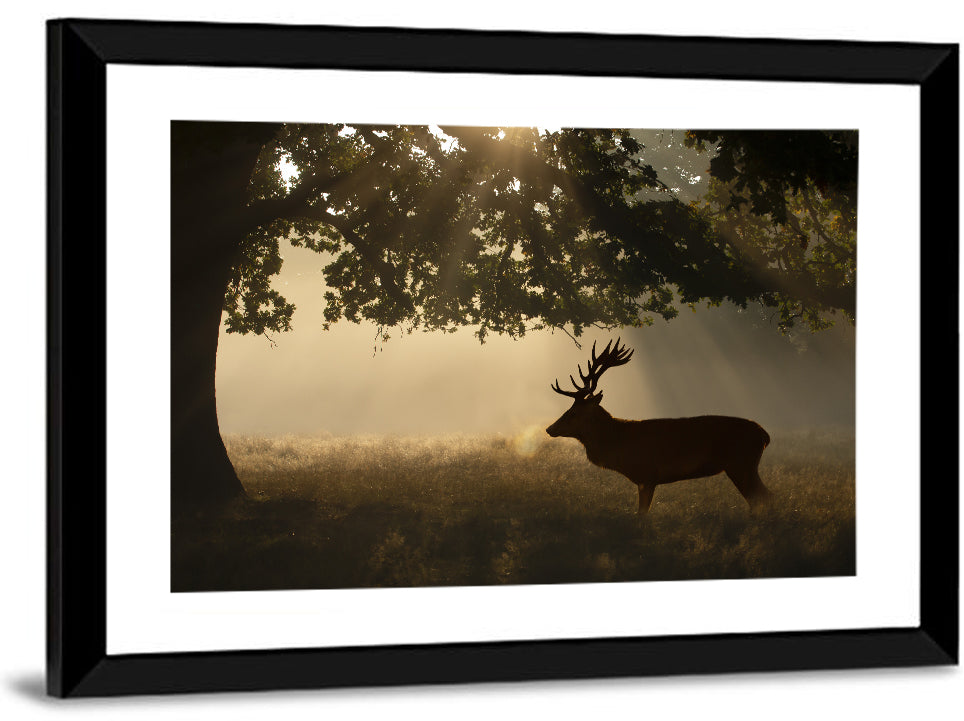 Misty Stag Silhouette Wall Art