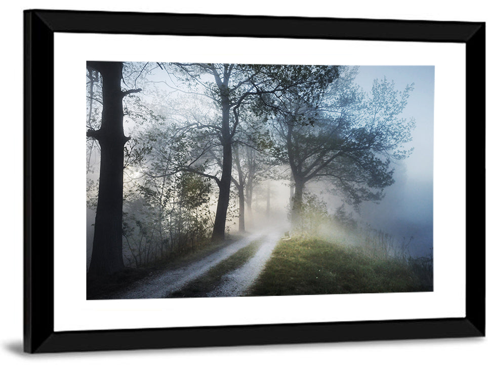 Foggy Forest Path Wall Art