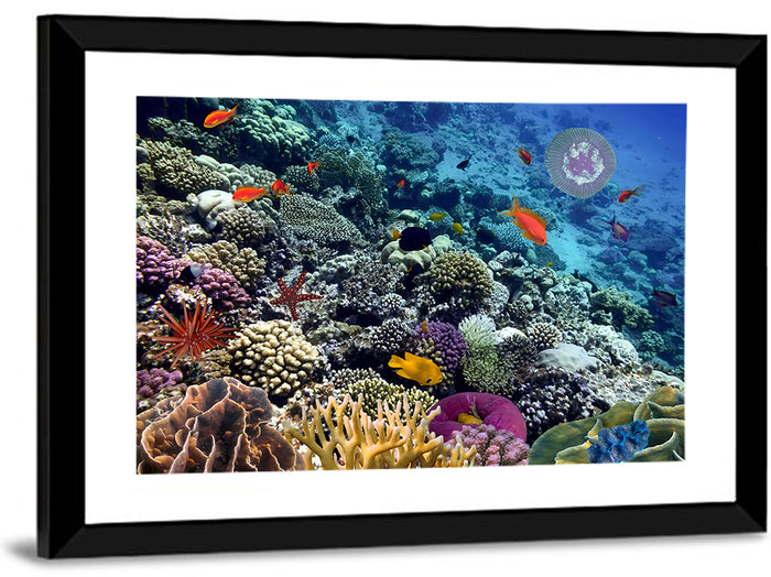 Vibrant Coral Reef Scene Wall Art as a framed print