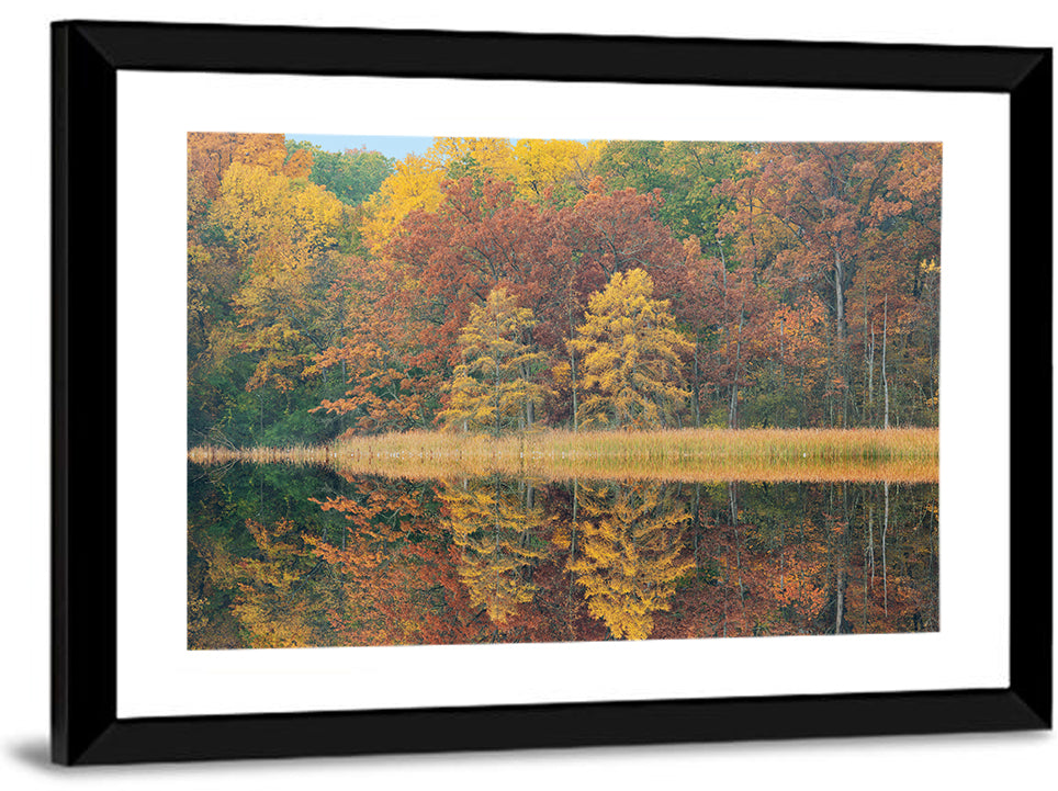 Douglas Lake Autumn Reflection Wall Art