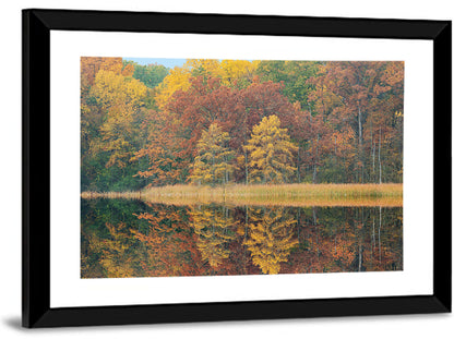 Douglas Lake Autumn Reflection Wall Art