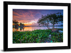 Cipondoh Lake Hyacinth Sunset Wall Art