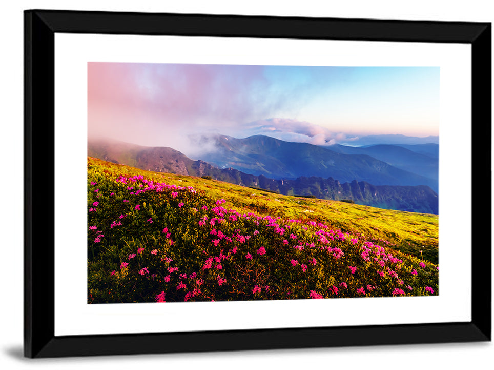 Alpine Rhododendron Meadow at Golden Hour Wall Art