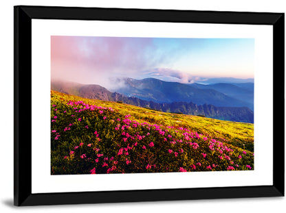 Alpine Rhododendron Meadow at Golden Hour Wall Art