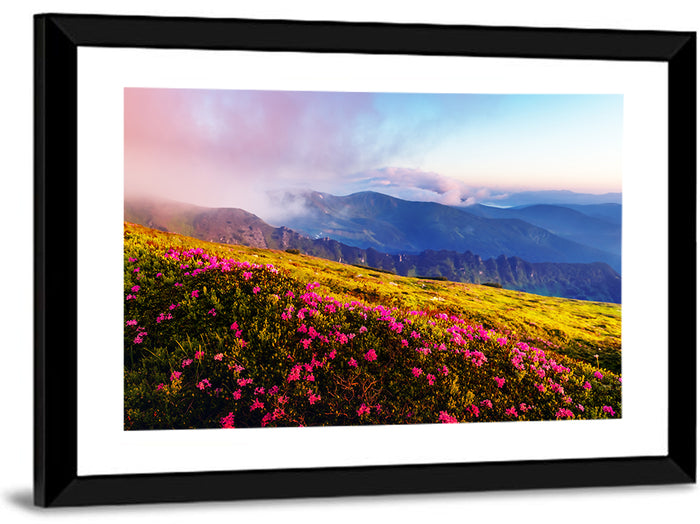 Alpine Rhododendron Meadow at Golden Hour Wall Art as a framed print