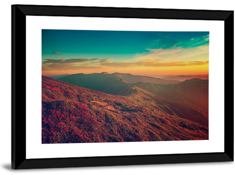 Alpine Rhododendrons at Golden Sunrise Wall Art