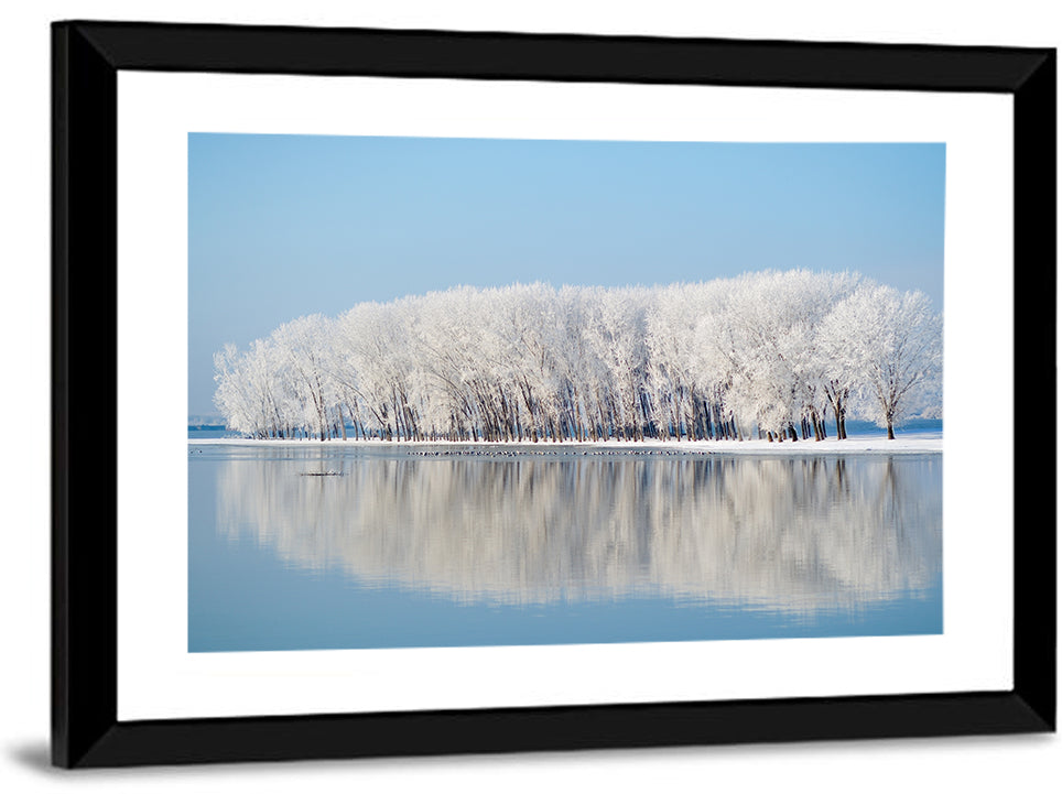 Frost Covered Lakeside Trees Wall Art