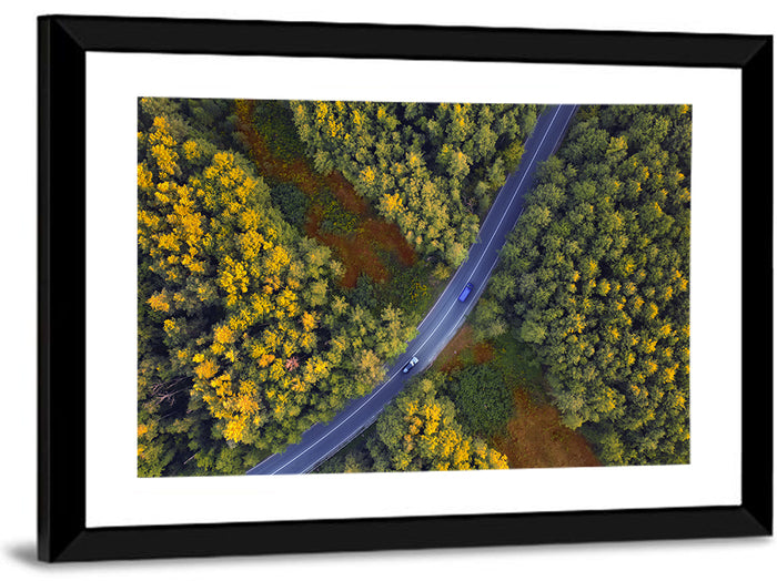 Aerial Autumn Forest Road Wall Art as a framed print