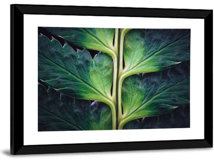 Fern Stem Macro Study Wall Art as a framed print