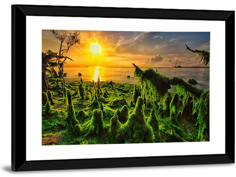 Mangrove Roots at Sunset Wall Art